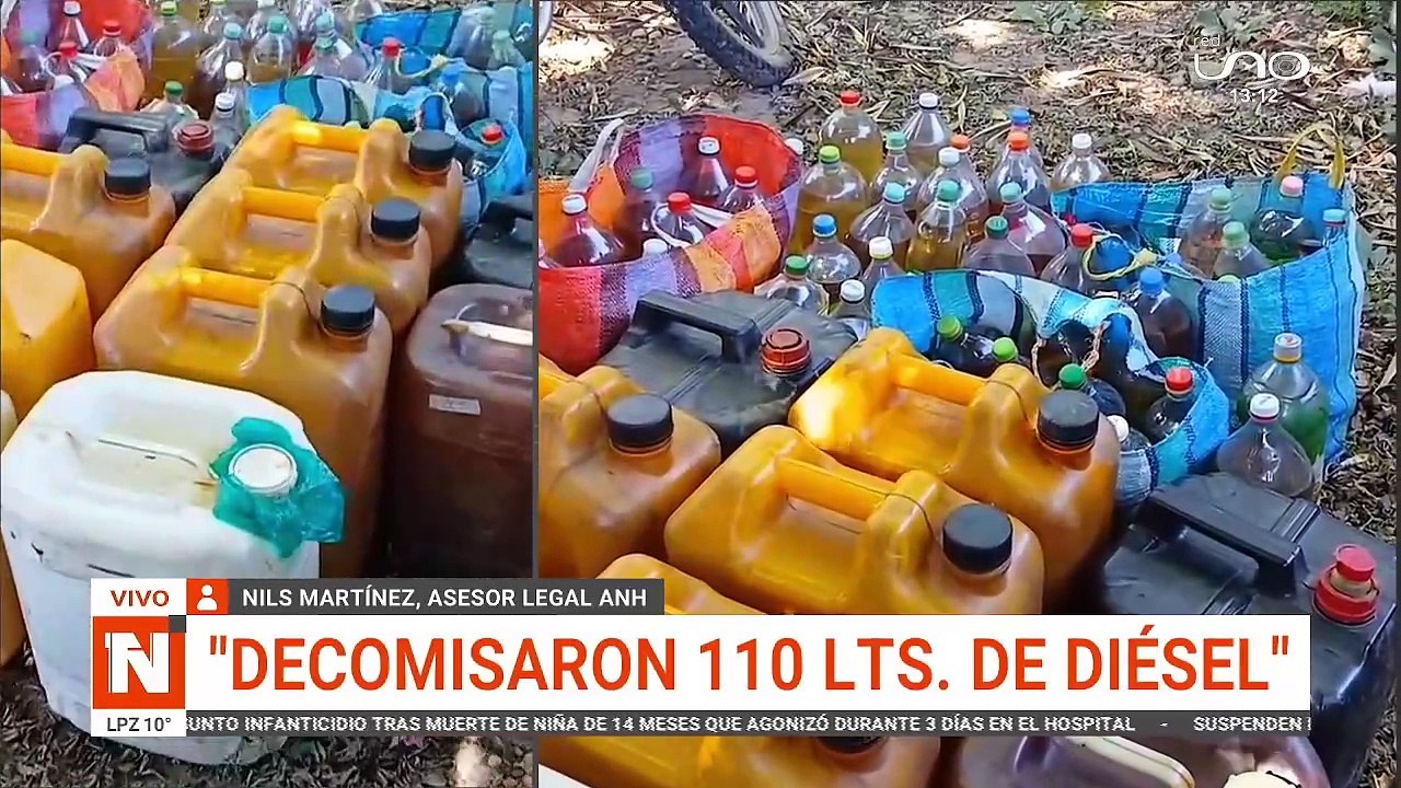 DECOMISAN COMBUSTIBLE AL RALEO