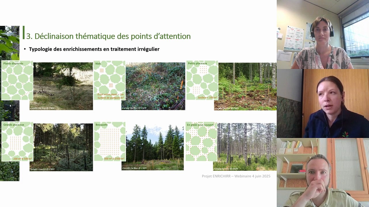 Webinaire #41 forêt et changements climatiques