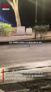 Una usuaria en redes denunció que fue confrontada por una señora por supuestamente grabarla, aunque el objetivo era captar a un gato cercano.