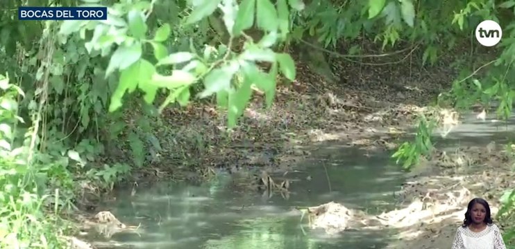 Bocas del Toro reporta segunda muerte por dengue y brote de enfermedades gastrointestinales