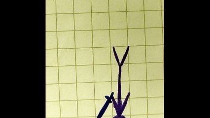 Ninja blu con spada personaggi 2