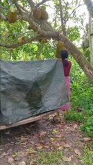 unforgettable movement 😅