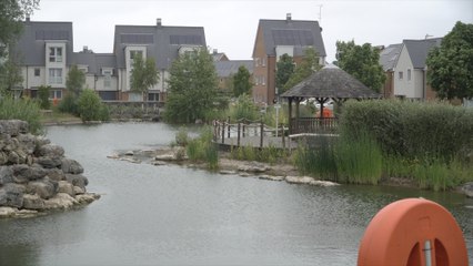 Catapult attacks on migratory birds at St Clements Lakes
