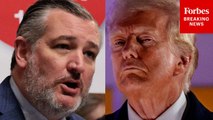 Ted Cruz Leads Contentious Hearing On 'Judicial Tyranny' Against President Trump