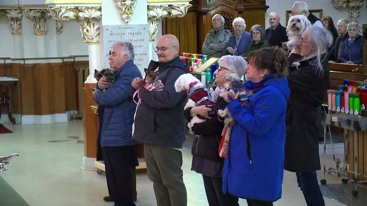 À Rivière-du-Loup, une messe pas comme les autres… avec votre chien ou votre chat