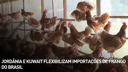 Jordânia e Kuwait flexibilizam importações de frango do Brasil