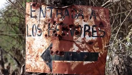 Grupo Fugitivo- así fue la emboscada de la banda música