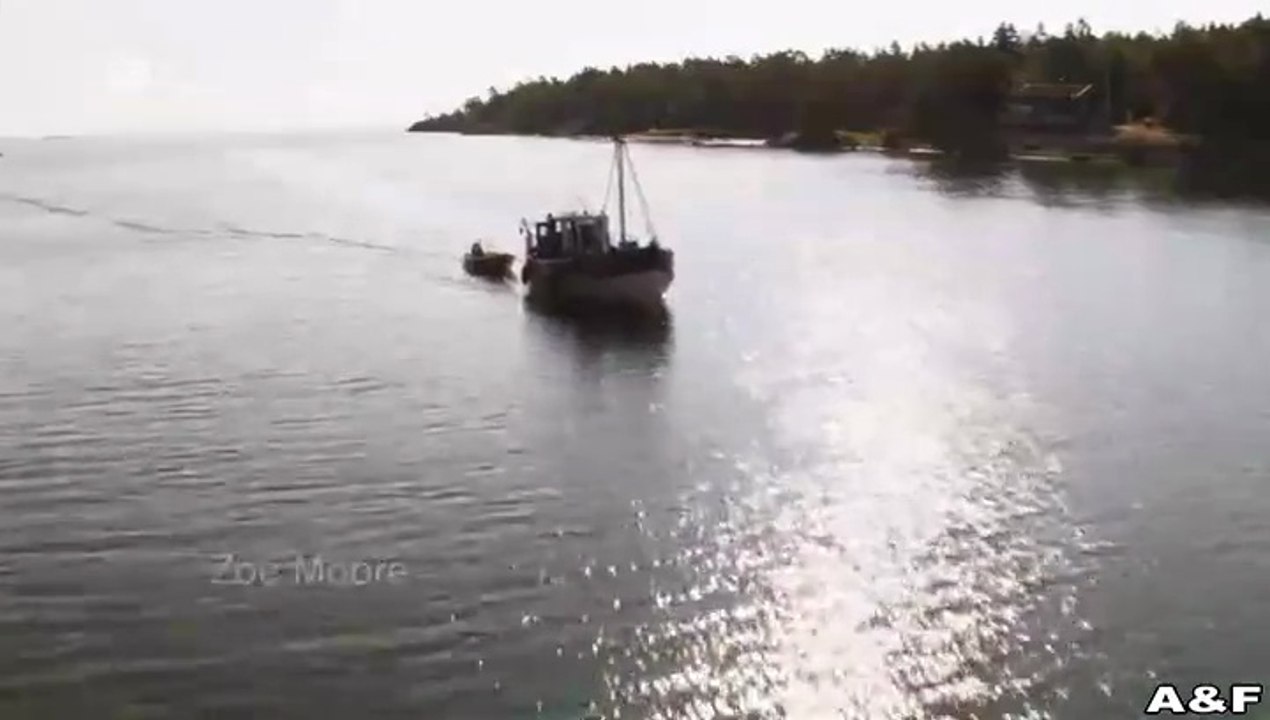 Inga Lindström -089- Der schönste Ort der Welt