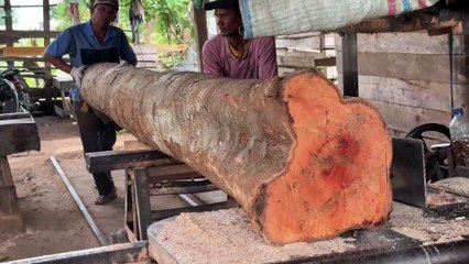 Sawing Wood 2x20 for Home Sawmill Machine Usage Tutorial