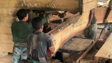 Complete Guide to Sawing 2x40 Wood Using a Sawmill