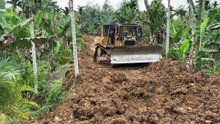Plantation Road is Better with the Perfect D6R XL Bulldozer