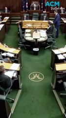 ‘The Premier called me weak’: heated scenes inside Tasmania’s parliament amid no confidence motion