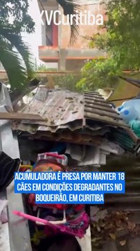 Acumuladora é presa por manter 18 cães em condições degradantes no Boqueirão, em Curitiba