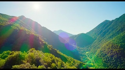 Y'a pas de réseau Film