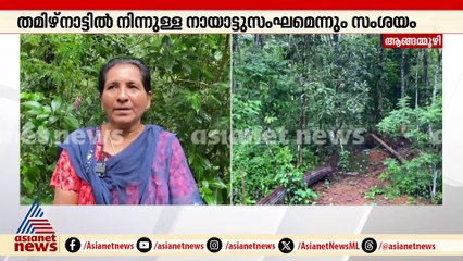 ശബരിമല വനമേഖലയിൽ ആജ്ഞാതസംഘത്തിന്റെ സാന്നിധ്യം