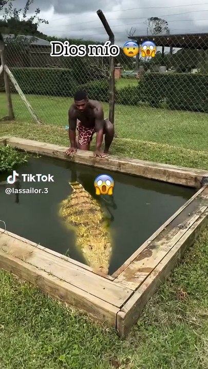 Funny 🤣😂🤣😂 clip dangerous