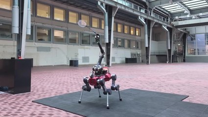 Watch: AI-powered robot learns to play badminton against humans