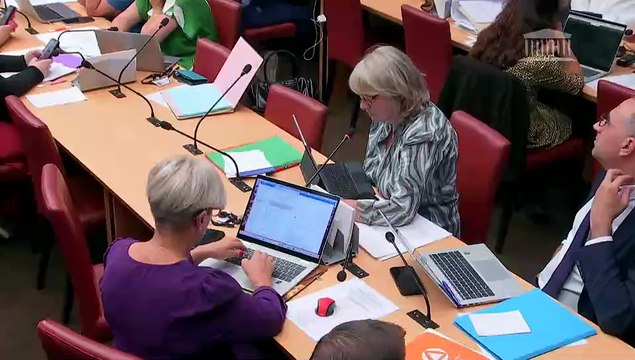 Commission des affaires économiques : Programmation nationale et simplification normative dans le secteur économique de l’énergie (suite) - Mardi 3 juin 2025