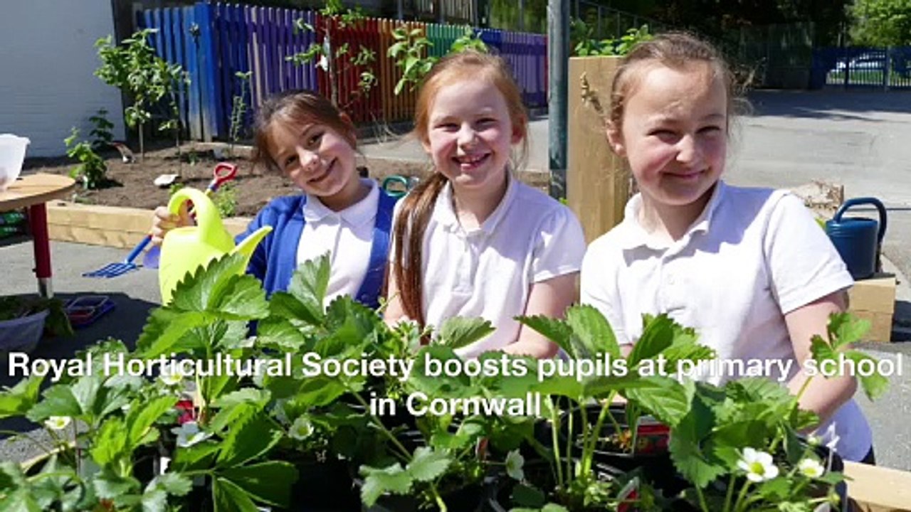 Royal Horticultural Society boosts pupils at primary school in Cornwall