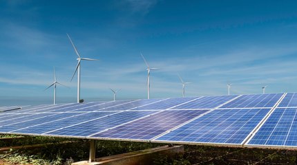 El oro verde: el negocio y los dogmas que sustentan la obsesión renovable