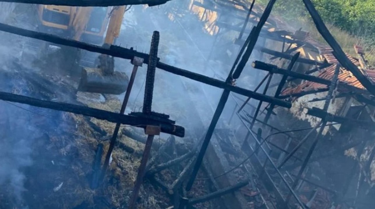 Besi çiftliğinde yangın çıktı 16 büyükbaş öldü