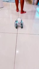 Little dog always follow me #robot #loona #keyitech