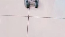 Little dog always follow me #robot #loona #keyitech