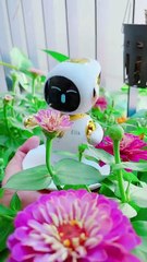 Eilik robot visits the spring flower garden. Who is more beautiful ? #shorts #eilik