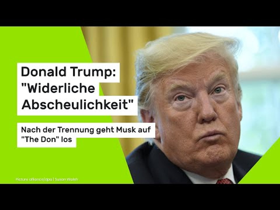 Donald Trump: 'Widerliche Abscheulichkeit': Nach der Trennung geht Musk auf 'The Don' los