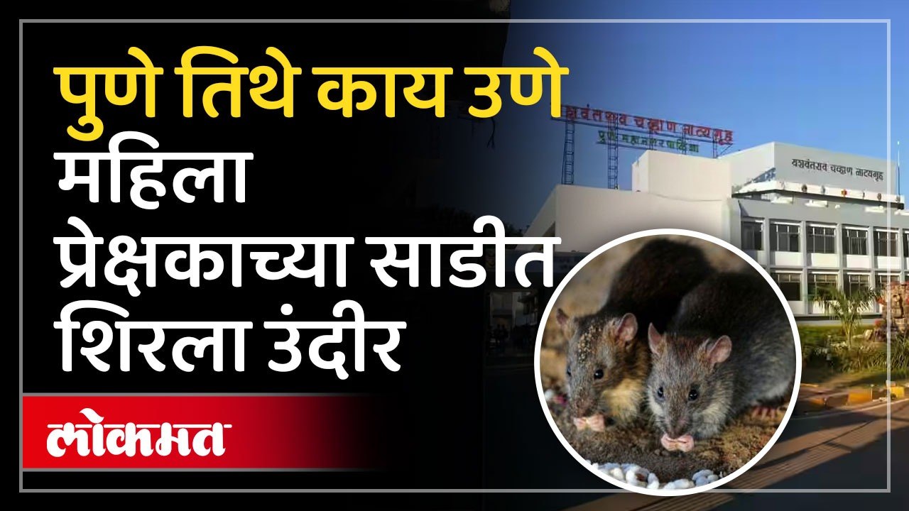 उंदीर कपड्यात शिरल्यानंतर महापालिकेला आली जाग; सुळसुळाट रोखण्यासाठी केल्या उपाययोजना