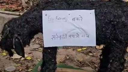 हिंदू संगठन ने दी मिट्टी के बकरों की प्रतीकात्मक कुर्बानी