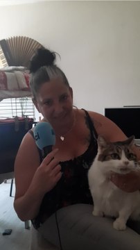 Une cinquantaine de chats errants ont pu être stérilisés à Miramas grâce à des bénévoles