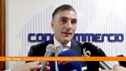 Tamajo "Lavoreremo per portare le aziende siciliane in Slovenia"