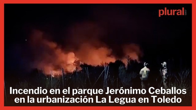 Los vecinos de La Legua (Toledo) denuncian en redes el abandono del entorno tras el último incendio