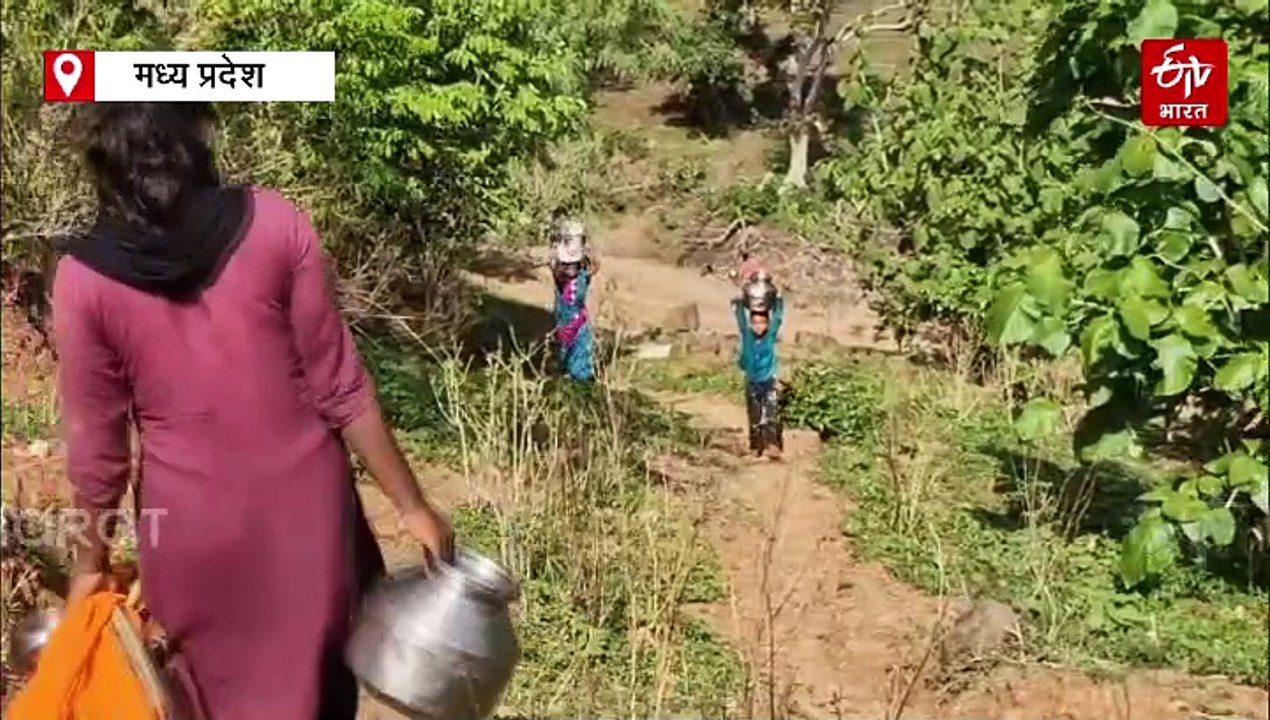 महाराष्ट्र में पिसता है गेहूं, मध्य प्रदेश में बनती है रोटी, बैतूल के 400 परिवारों की बिजली-पानी की जंग