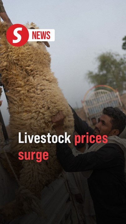 Pakistanis buy sacrificial livestock amid sky-rocketing prices ahead of Eid-al-Adha