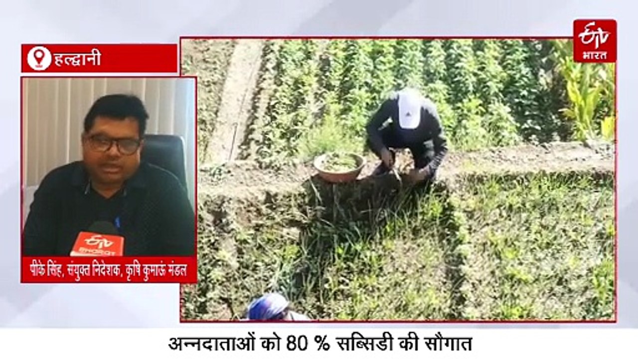 उत्तराखंड में अन्नदाताओं को सरकार की सौगात, मोटा अनाज उत्पादन में 80 फीसदी सब्सिडी, क्लिक कर जानें योजना
