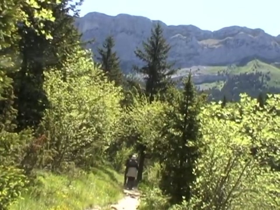 Boucle Aversin 1338m Villard-de-lans 38250