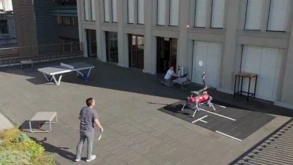 Four-Legged Badminton Pro? This Robo-Dog’s Got Game!