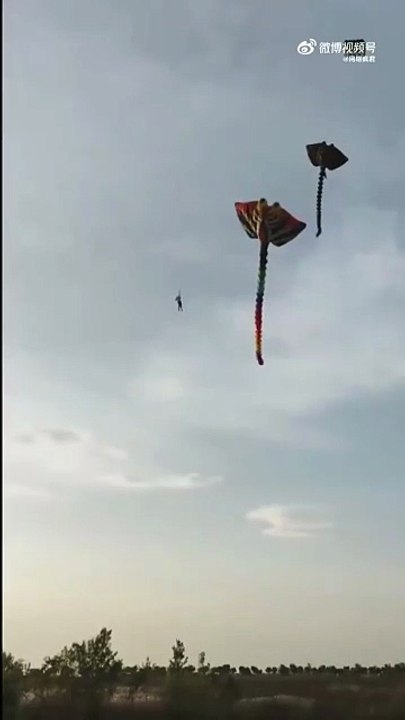 Man vs. Kite: And the Kite Wins! 🎏💨😱
