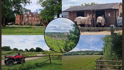 Spaniorum Skyway: We went on a relaxing walking on the outskirts of Bristol with horses and beautiful views