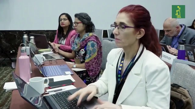 ONG ambientales debaten en Panamá control de químicos en los plásticos ante negociación de tratado