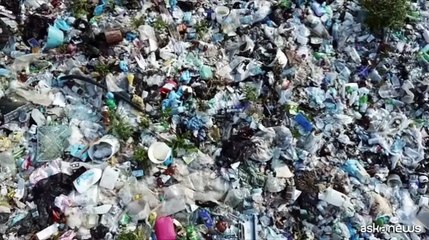 Giornata Mondiale dell'Ambiente, il report WWF su plastiche e rischi