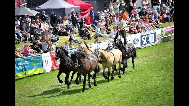 Some of our favourite 50 photographs from the South of England Show of recent years