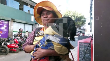 ¿Ya conociste a “Benji”? Es el perrito ‘tiqueador’ que trabaja junto a su dueña en Cochabamba