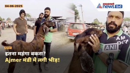 Bakri Eid 2025: अजमेर की मंडी में लाखों के बकरे! देखें बकरों का शानदार मेला