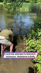 Boy Becomes Duck Hero in Wild Rescue With Heartwarming Twist!