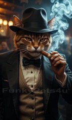 Swag Of Animals - Cat Dog and Monkey - FunkyPets4u