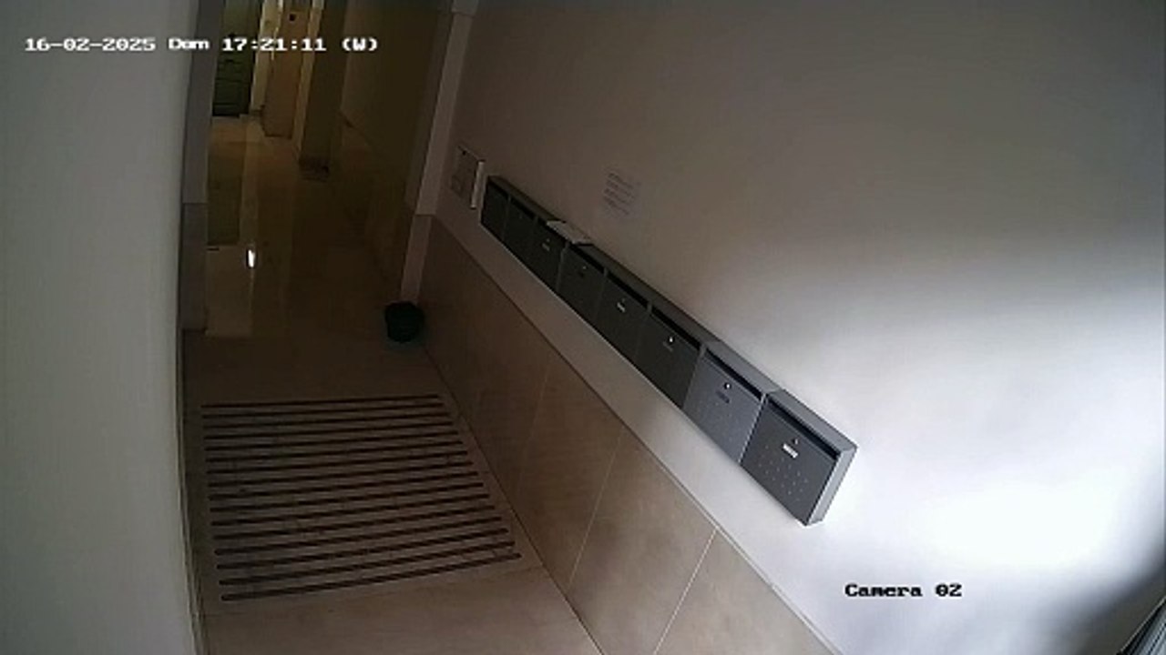 La cámara de seguridad capta a la supuesta okupa manipulando los suministros de agua de la finca