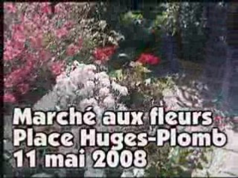 Marché aux fleurs - Place Hugues-Plomb (11 mai 2008)